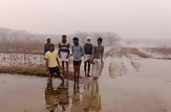 Haryana plans nature camp, green corridor in Nuh