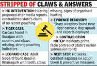 Tiger and leopard deaths contradict govt&rsquo;s no-poaching claim, says HC