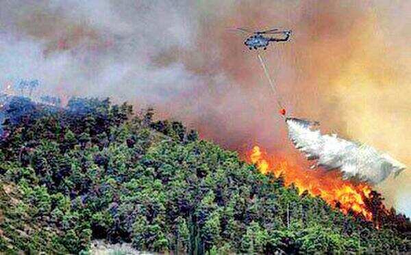 Forest fire in Mount Abu rages on; IAF, Army continue operations to douse it