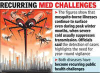 Even cold fails to curb dengue, C&rsquo;gunya: 15 cases in 2 months