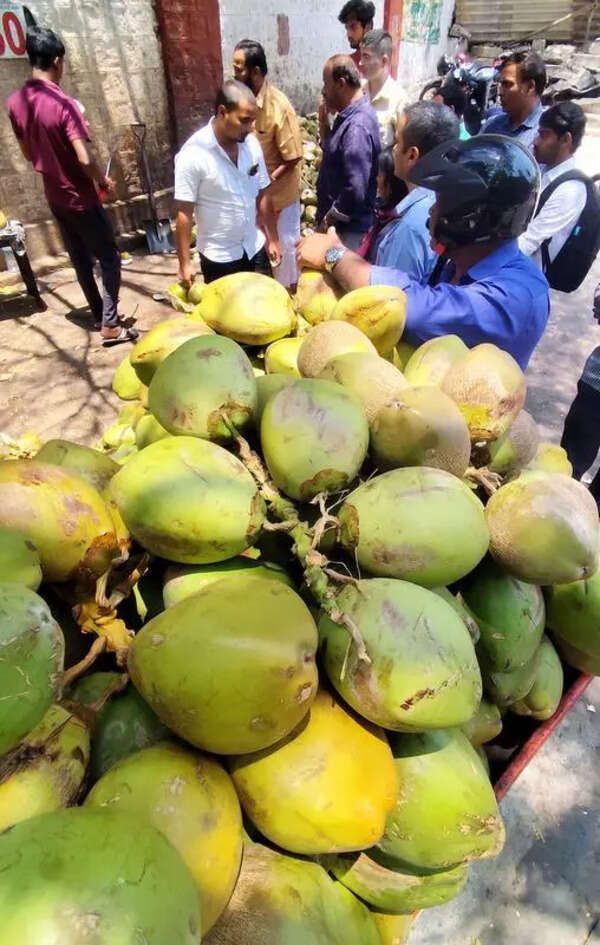 New scheme replants hope in struggling coconut farmers