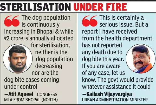 Not enough vets for speedy dog sterilisation, says Vijayvargiya