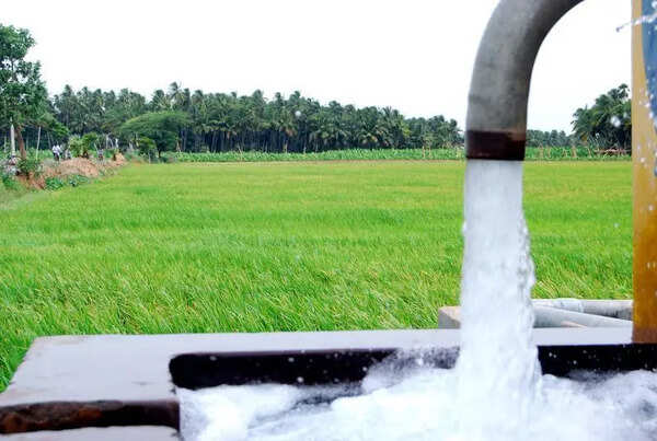 Soil salinity threat growing in Karnataka: Expert