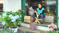 This florist makes beautiful dolls out of maize husks in Manipur’s Senapati 