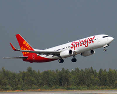 Cash-strapped SpiceJet appeals to govt for help
