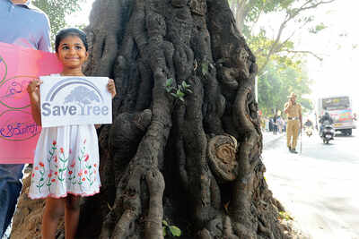 Treeson on Jayamahal