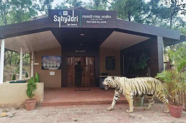 Sena (UBT) office bearers oppose new Sahyadri Tiger Reserve corridor