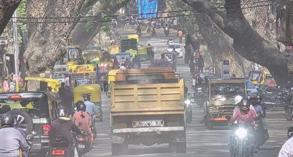 Bengaluru sees surge in dust allergy cases as Air Quality Index worsens