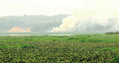 Pollution board orders closure of 114 factories near Bellandur lake