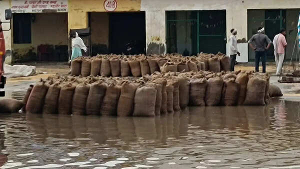 3 dead as dust storm hits West UP; crops suffer heavy damage