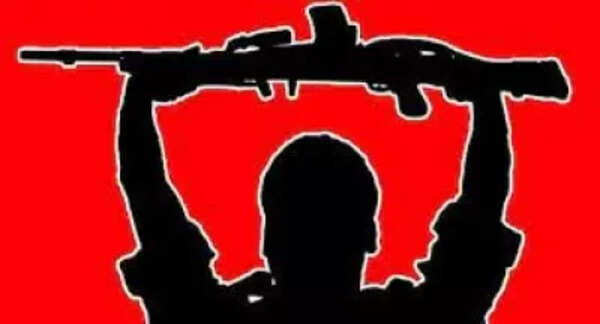 Maoists offer surrender in letter to Chhattisgarh HM, seek safety assurance