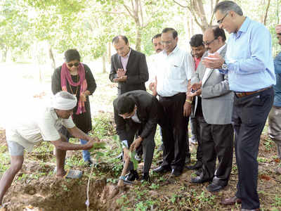 L&T teams up with BCCL, NGOs to revive Jakkur Lake; will plant around 3,000 saplings