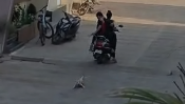 2 women drag street dog behind scooter in Ratlam; FIR filed