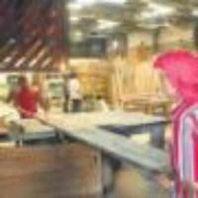 Lakda bazaar: Lumber-ing along against all odds
