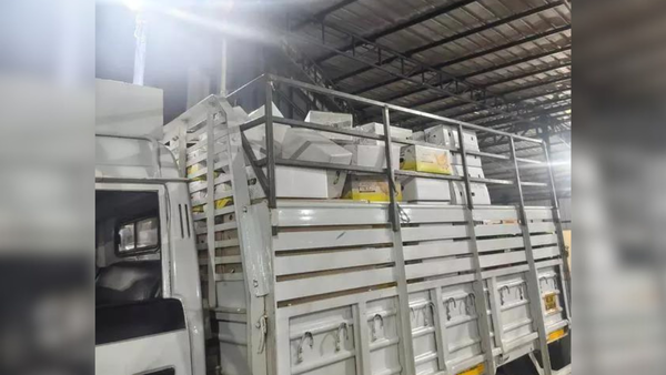 From curry leaves to pineapples: War cripples Kerala’s Gulf-bound vegetable exports amid Middle East crisis
