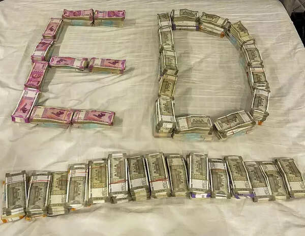 Maharashtra: Enforcement Directorate arrests firm lead Archana Kute in money laundering case