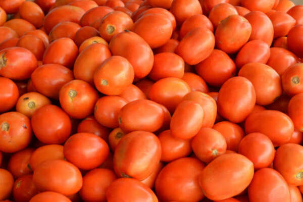 Farmers dump tomatoes in price protest
