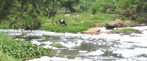 Land acquisition for Rs 156-cr Arkavathi riverfront project kicks off