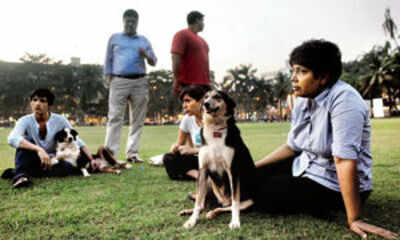 pet psychic lost pet