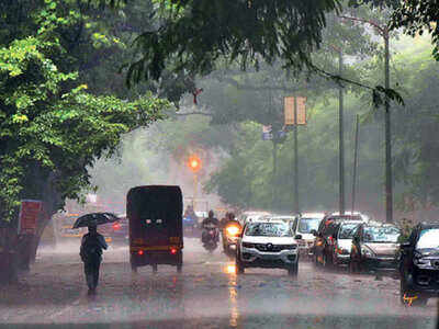 Maharashtra: IMD says rain, thunderstorm, hail likely in some areas today