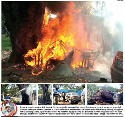 Bizarre incident near Chinnaswamy Stadium: Tree catches fire