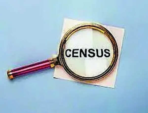 Tell parents about house-listing: That’s Census ‘homework’ for kids