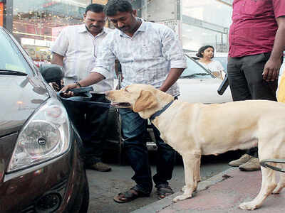 Cops want the dope on Nandi Hills