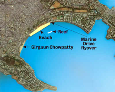 Marine Drive and Mahim Bay to get new beaches in next four years
