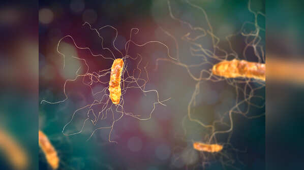 What is aspergillosis?