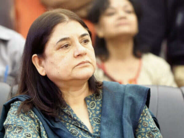 Delhi Zoo animals given expired drugs; Maneka writes to forest department