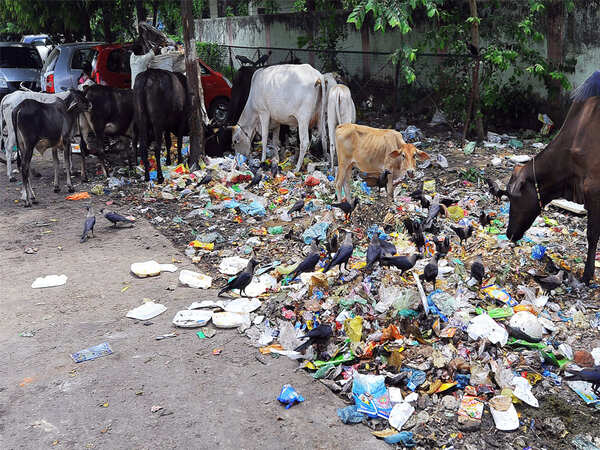 Garbage raises stink as LMC ‘clean city promise’ falls flat