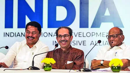 INDIA bloc will provide formidable alternative, says Sharad Pawar on eve of meet