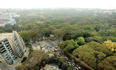 Bengaluru: Campaigns against state government’s amendment to Tree Act get louder