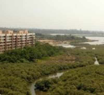 Charkop may soon get a mangrove park