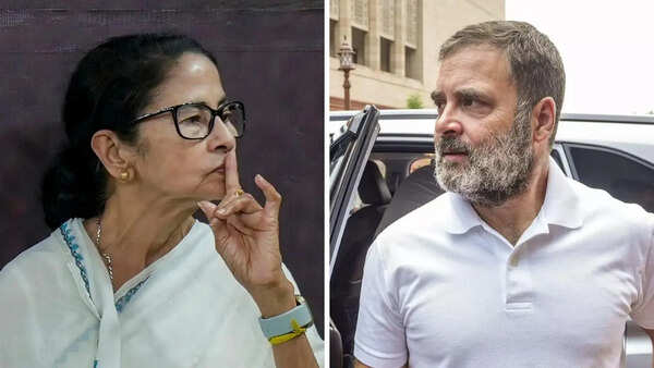 Rahul Gandhi's Bengal rally fails to get police nod; Congress hits out at Mamata