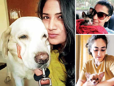 Versova couple faces eviction after daughter visits with pet dog