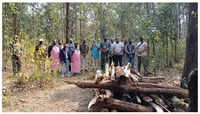 Territorial clash kills young tiger in reserve