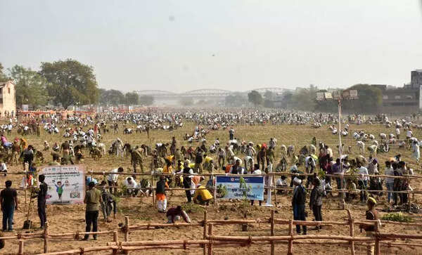 Kashi sets a Guinness record with 2.51L sapling plantation in 1 hour