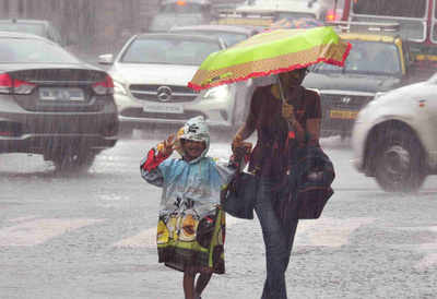 Monsoon 2018: Maximum probability for normal rainfall this year, says IMD