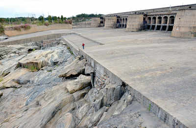 Cauvery Water Crisis: Will Karnataka give in to ‘neer’ pressure?