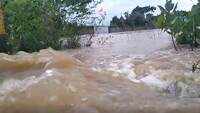 Alarming: Incessant rain creates flood-like situation in Odisha's Balasore 