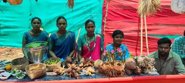 Seed festival showcases tribal biodiversity in Araku