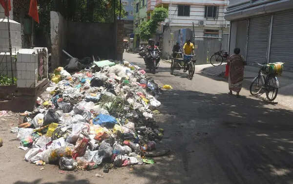 App soon with geo-tag tech for quick garbage clean-up