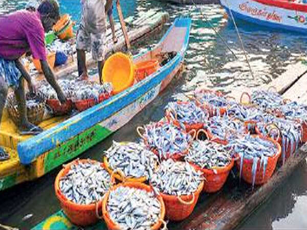 Rumours of formalin in fish hits trade
