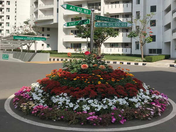 Saying it with flowers: How city  societies are ushering in spring