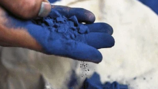 Indigo’s ancient blue rises from Himalaya’s foothills to AOI walls: Tracing pigment’s journey from leaf to cloth, colonial past to sustainable future