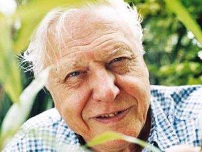 David Attenborough chosen by UK as ‘People’s Advocate’