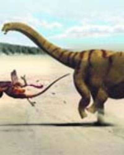 Thunder-thighs dinosaur had a monstrous kick