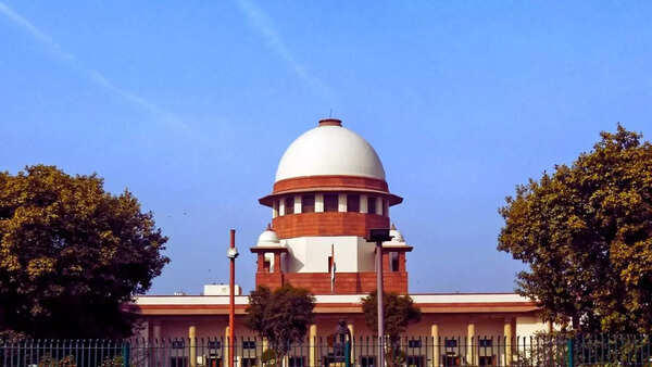 'Dare you to score 30% in English test right here': SC junks AI-drafted PIL, schools Ludhiana cloth trader