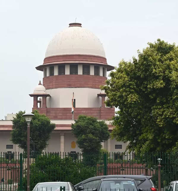 SC Doubts Efficacy Of Delhi Ridge Board